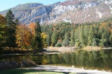 Enlarge photo 19
