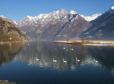 Enlarge photo 6