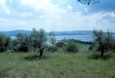 trasimeno