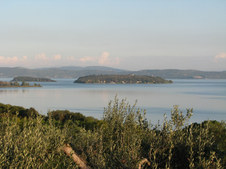 Enlarge photo 13