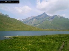 Enlarge photo 2