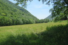 Guello / San Primo