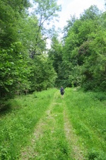 Enlarge photo 21
