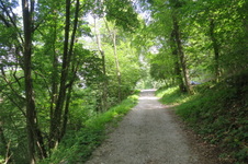 Enlarge photo 29