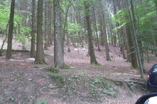 Enlarge photo 39