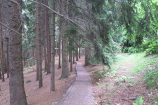 Enlarge photo 5