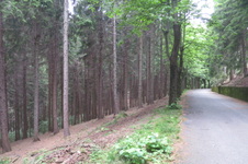 Enlarge photo 8