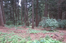 Enlarge photo 9
