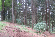 Enlarge photo 10