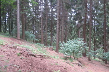 Enlarge photo 11
