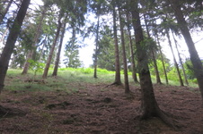 Enlarge photo 12