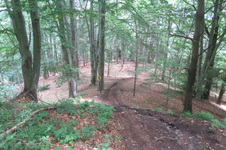 Enlarge photo 13