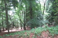 Enlarge photo 14