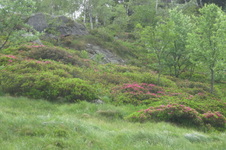 Enlarge photo 17