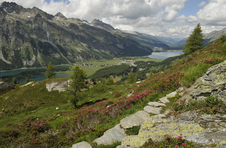 Enlarge photo 30