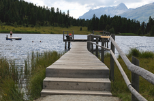 Enlarge photo 32