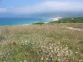 Enlarge photo 27