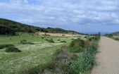 Enlarge photo 29
