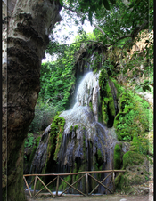 Iaconi