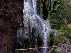 Enlarge photo 4