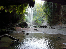 Enlarge photo 10
