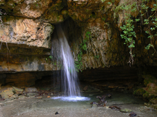Enlarge photo 11