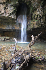 Enlarge photo 13