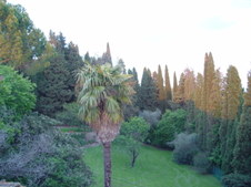 Enlarge photo 6