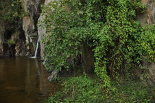 Enlarge photo 14