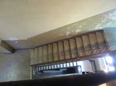Enlarge photo 45