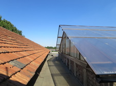 Enlarge photo 56