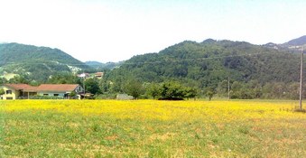 Enlarge photo 1