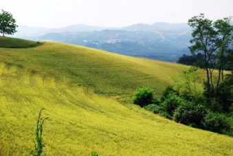 Country Alessandria