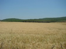 Enlarge photo 34