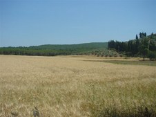 Enlarge photo 35