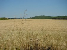 Enlarge photo 36
