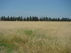 Enlarge photo 37