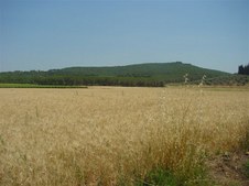 Enlarge photo 38