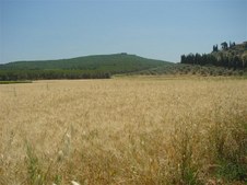 Enlarge photo 39