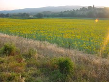 Enlarge photo 48