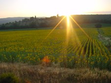 Enlarge photo 50