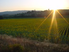 Enlarge photo 51