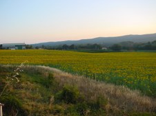 Enlarge photo 52