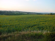 Enlarge photo 56