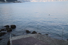 Enlarge photo 38