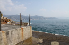 Enlarge photo 71