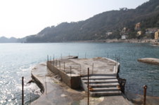 Enlarge photo 79
