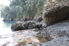 Enlarge photo 42