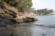 Enlarge photo 47