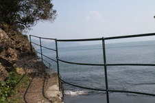 Enlarge photo 50